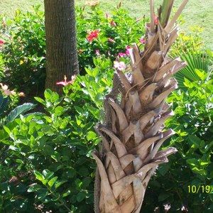 Meet your Posher, Lynn